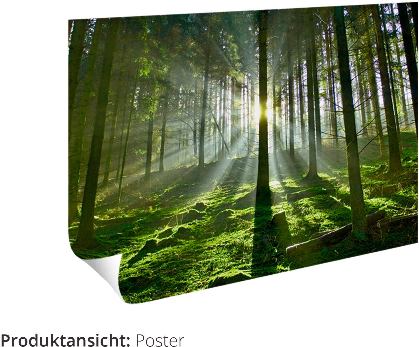 Artland Poster Lebensstil Beauty, Frau (6 St), Bilder Set, 6tlg. 4xDIN A4 / 2xDIN A3, ohne Rahmen