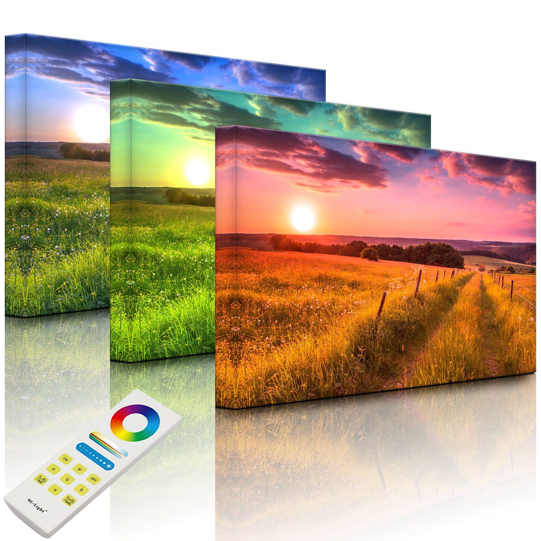 lightbox-multicolor LED-Bild »Wunderschöne Bergwiese im Sonnenaufgang«  online kaufen | OTTO