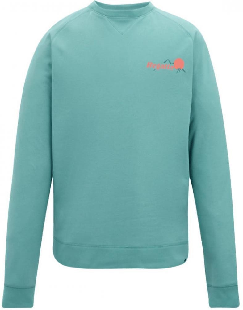 Regatta Sweatshirt Mens Sweatshirts - Nithsdale
