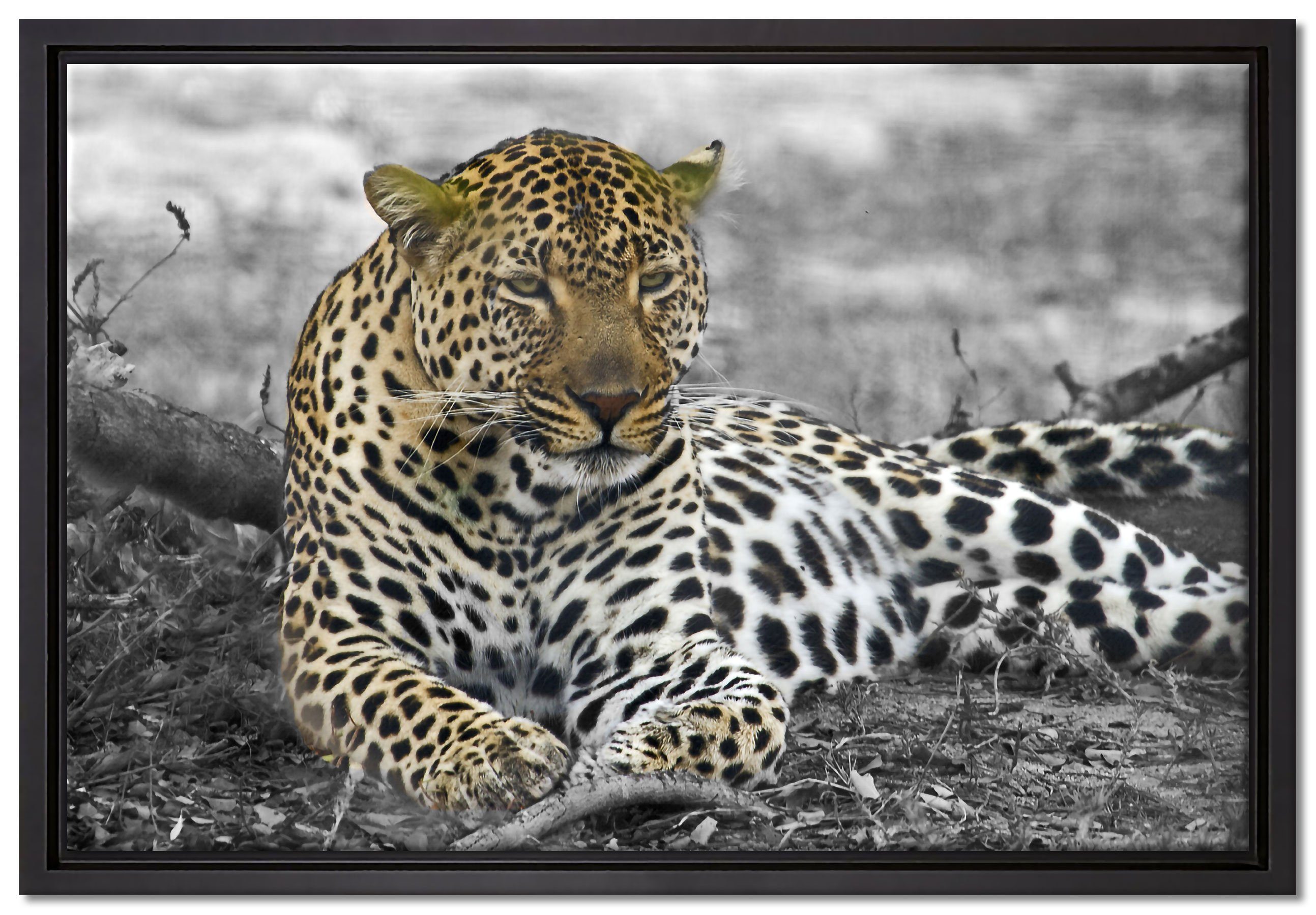 gefasst, (1 liegt bespannt, fertig Wanddekoration Leopard inkl. einem Schattenfugen-Bilderrahmen Zackenaufhänger Leinwandbild Laub, in St), Leinwandbild schöner im Pixxprint