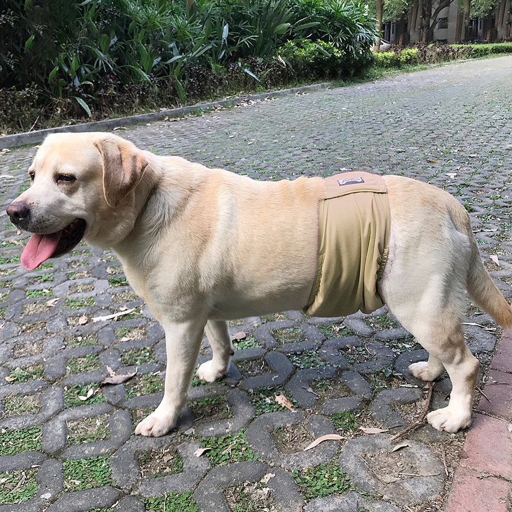 Hunde Schutzhose Rüde, Anti-Belästigung LAPA Atmungsaktiv Hygienehose Hochsaugfähige, Hunde Menstruationshose, für S-2XL HOME Hundewindel Wiederverwendbar, Beige