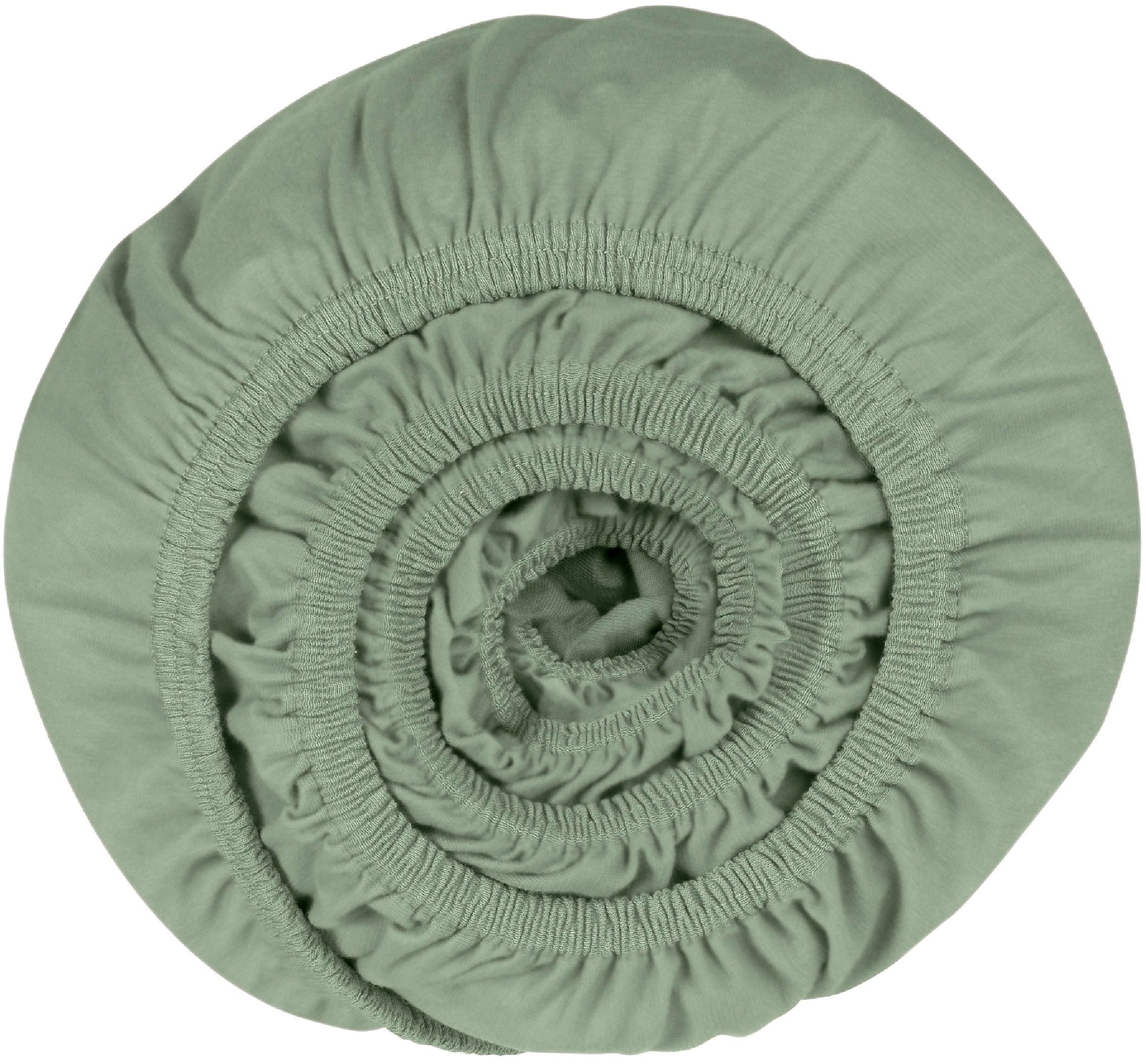 Schiesser Spannbettlaken Jessi aus 100% Baumwolle, günstig online kaufen