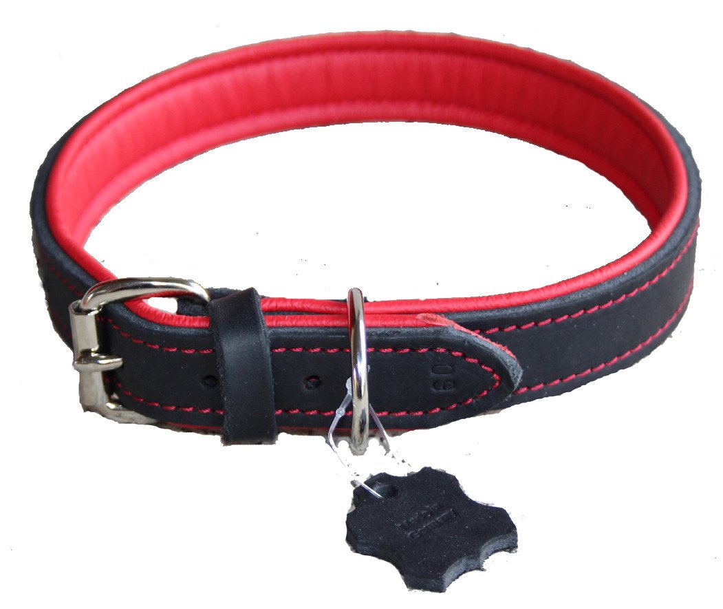 Activity4Dogs Hunde-Halsband große Hunde, Echtleder, 5-fach verstellbar, 4 Größen, verschiedene Farben, Größe M bis XL, jeweils 5-fach verstellbar