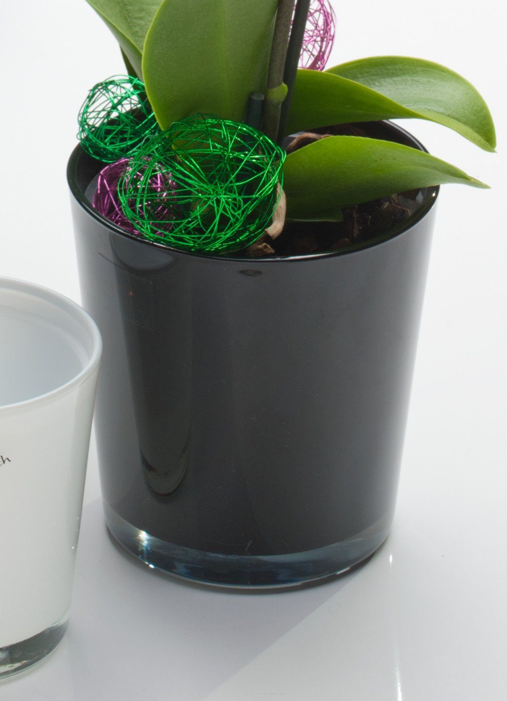 Sandra Rich Blumentopf Orchideentopf Orchid konisch günstig online kaufen