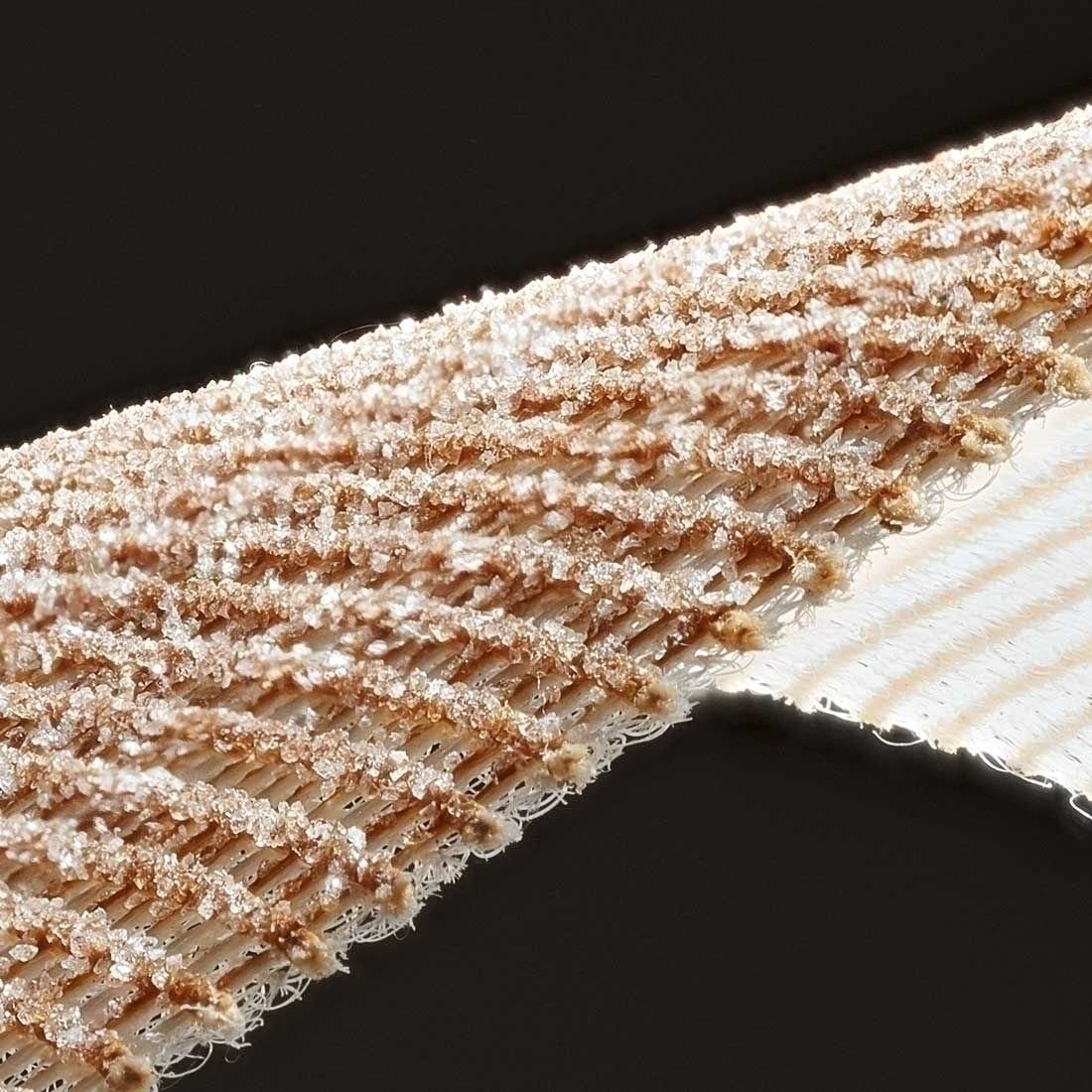 MENZER Schleifscheibe Ø 125 mm Klett-Schleifgitter für Exzenterschleifer, Weißes Edelkorund, 25 Stk., K180