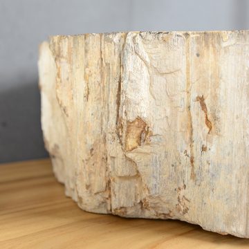 wohnfreuden Aufsatzwaschbecken Waschbecken fossiles Holz ca. 40-50 cm innen poliert (Kein Set), 1_124835
