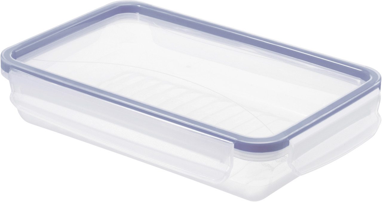 ROTHO Vorratsdose Rotho Kühlschrankdose Click & Lock, 1 l flach, Silikon