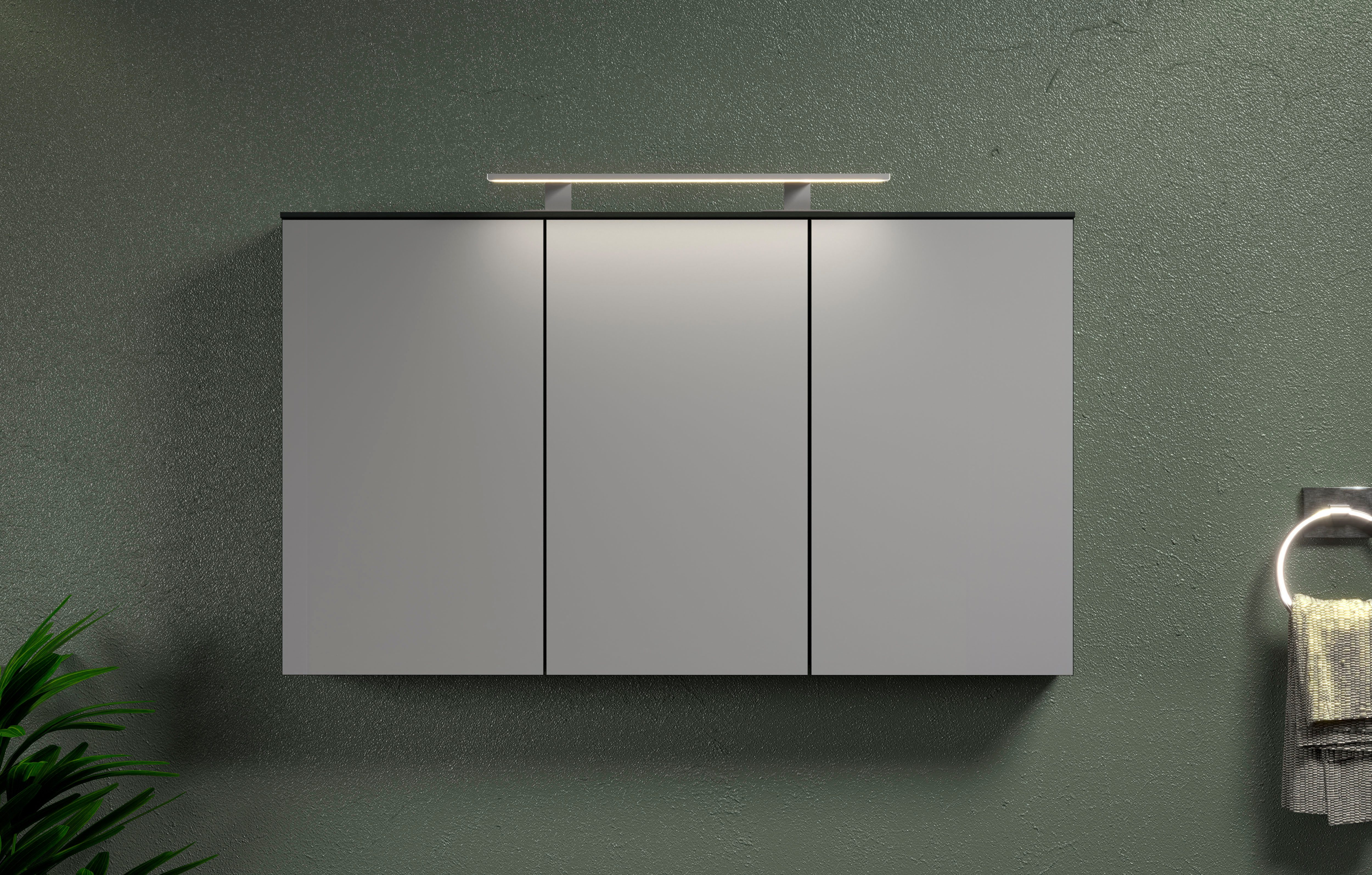 welltime Spiegelschrank Premont (1-St) Breiter Badspiegel mit 3 Spiegeltüren und 9 Fächern - Soft-Close