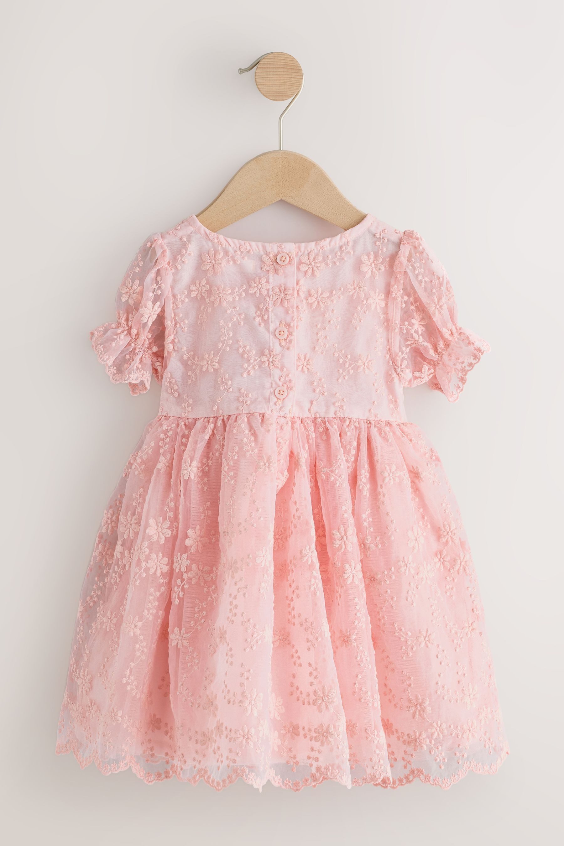 Next Partykleid Ballkleid mit Stickerei (1-tlg)