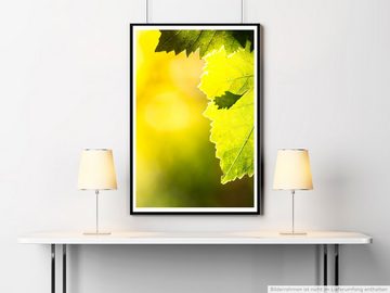 Sinus Art Poster 60x90cm Poster Naturfotografie  Weinblätter im Sonnenlicht