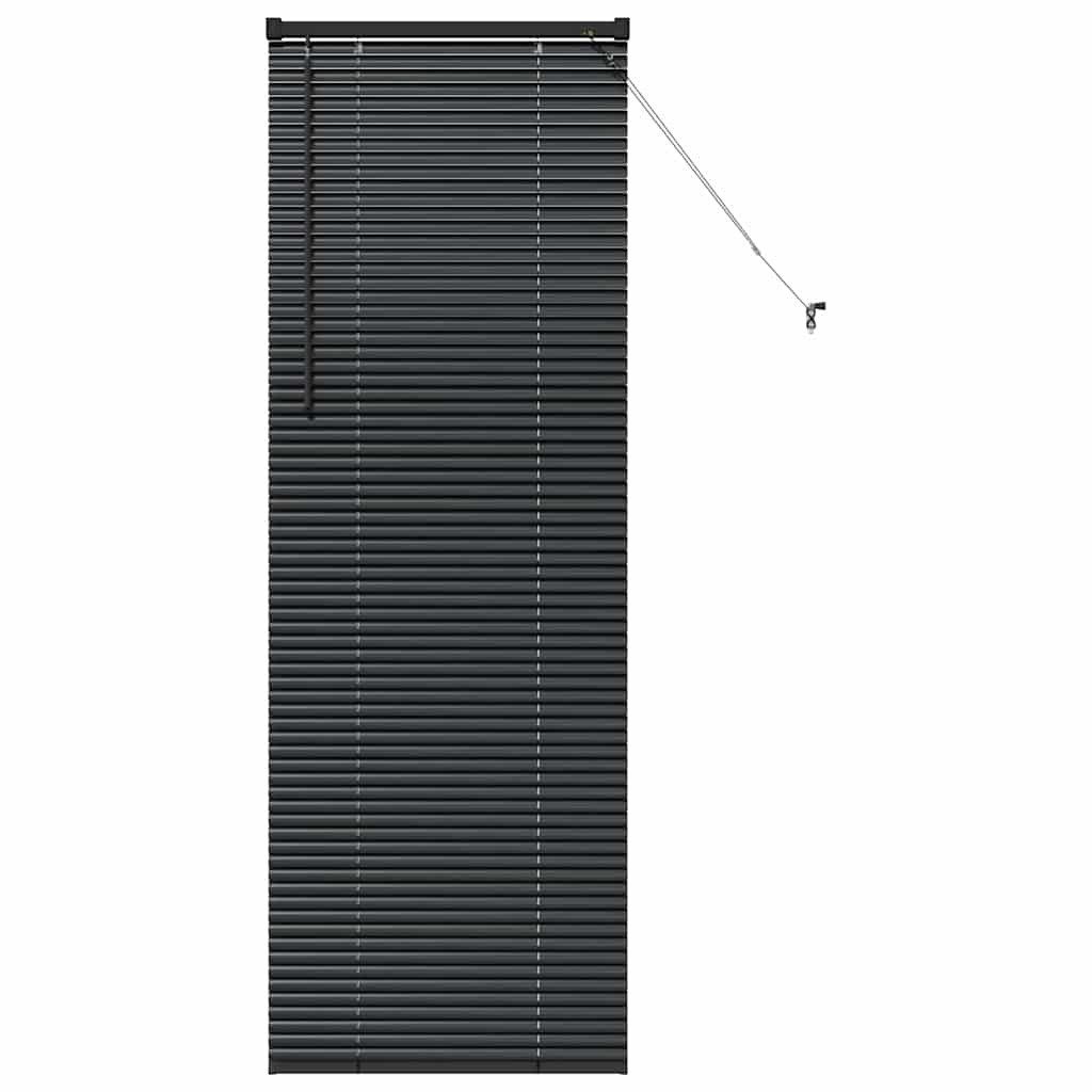 Rollo Fensterjalousie mit Vorhängen Schwarz Aluminium, günstig online kaufen
