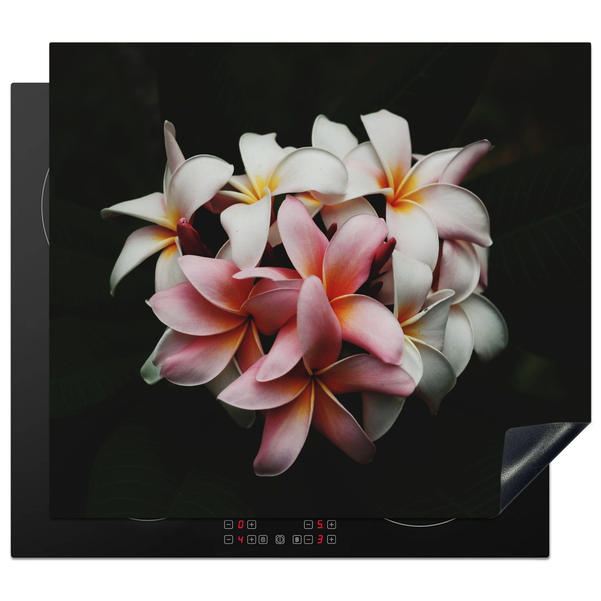 MuchoWow Herdblende-/Abdeckplatte Blumen - Rosa - Schwarz - Flora - Botanisch, Vinyl, (1 tlg), 58x51 cm, Küchen Dekoration für Induktionsherd, Induktionskochfeld