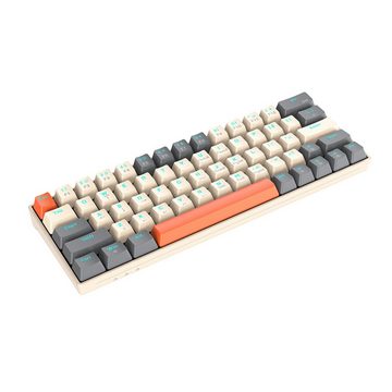 Diida Mechanische Tastatur,USB-Tastatur,63 Tasten,RGB-Hintergrundbeleuchtung Gaming-Tastatur (Trennung von Tastatur und Kabel)