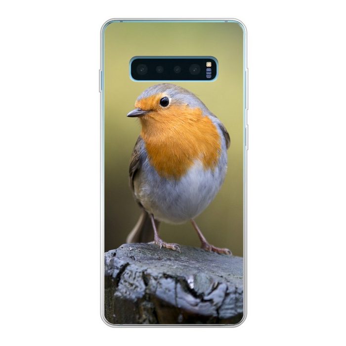 MuchoWow Handyhülle Pfahl - Rotkehlchen - Natur Phone Case Handyhülle Samsung Galaxy S10+ Silikon Schutzhülle