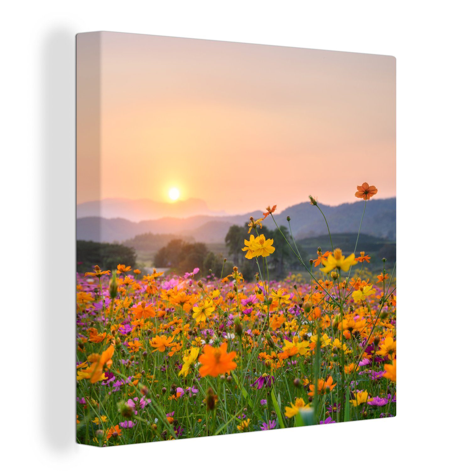 Berg, St), (1 Wohnzimmer Blumen - - Bilder Leinwand Leinwandbild für Schlafzimmer Sonnenuntergang OneMillionCanvasses®