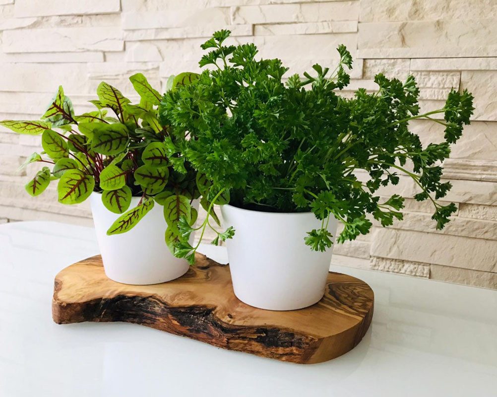 Olivenholz-erleben Kräuterbeet 2er Kräuterstation auf Olivenholz-Sockel (Set, 3 St., 1x Olivenholzbrett, 2x Keramikübertöpfe, plus Überraschung), elegante Keramikübertöpfe, perfekt für direktes Einsetzen von Kräutern