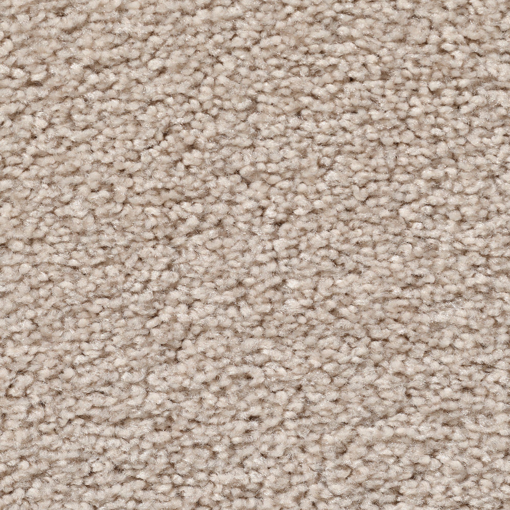 Teppichboden »Passion 1004«, Vorwerk, rechteckig, Höhe: 8 mm, Meterware,  Breite 400 oder 500 cm, fußbodenheizungsgeeignet