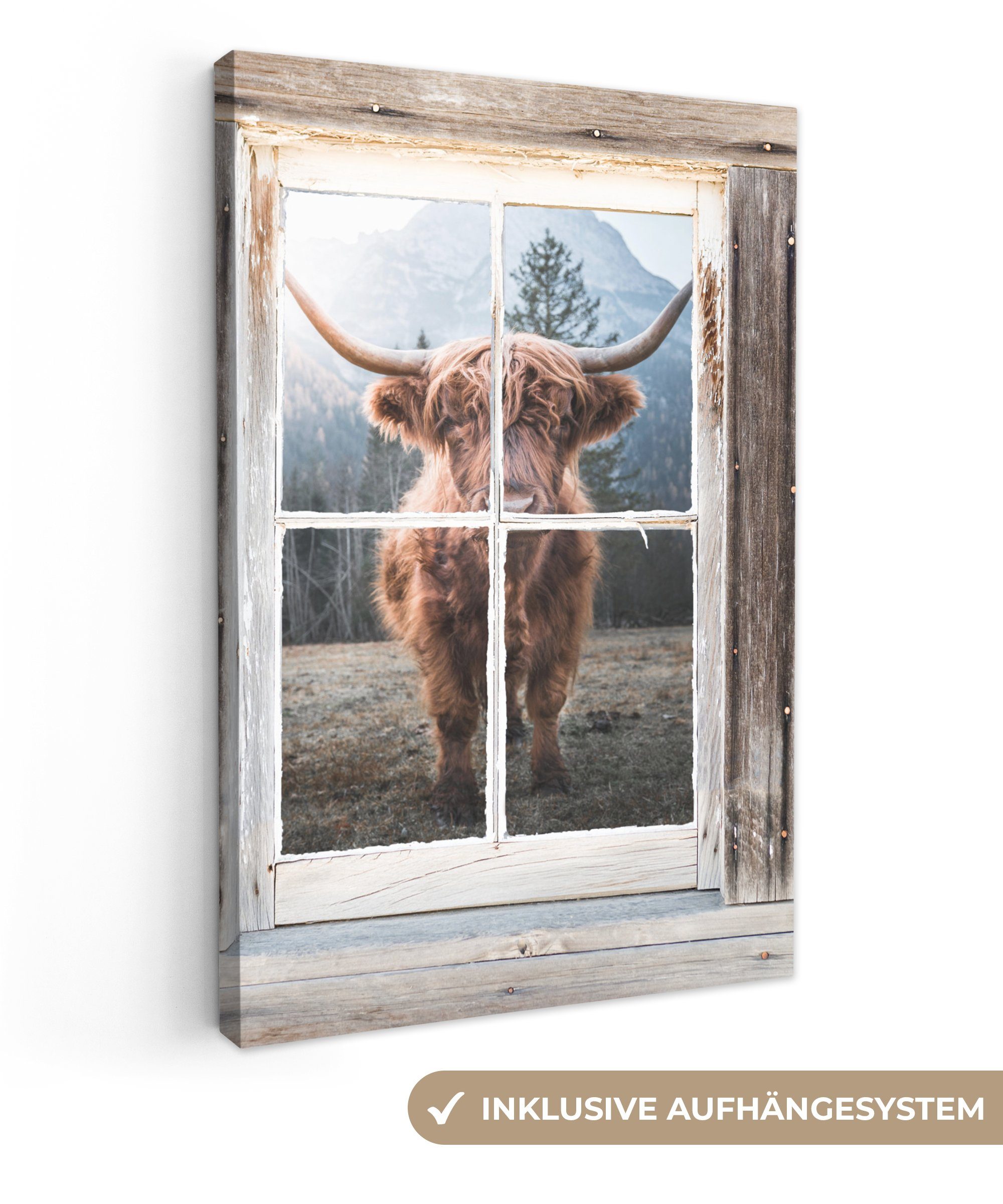OneMillionCanvasses® Leinwandbild Schottischer Highlander - Kuh - Ansicht, günstig online kaufen