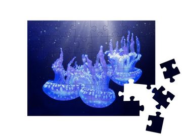 puzzleYOU Puzzle Das Leben unter Wasser: Gefleckte Lagunenqualle, 48 Puzzleteile, puzzleYOU-Kollektionen Quallen