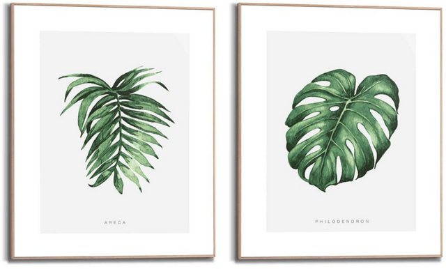 Reinders! Wandbild »Wandbilder Set Naturmotiv Philodendron - Pflanze - Areca - Palme - Blätter«, Natur (2 Stück)-Otto