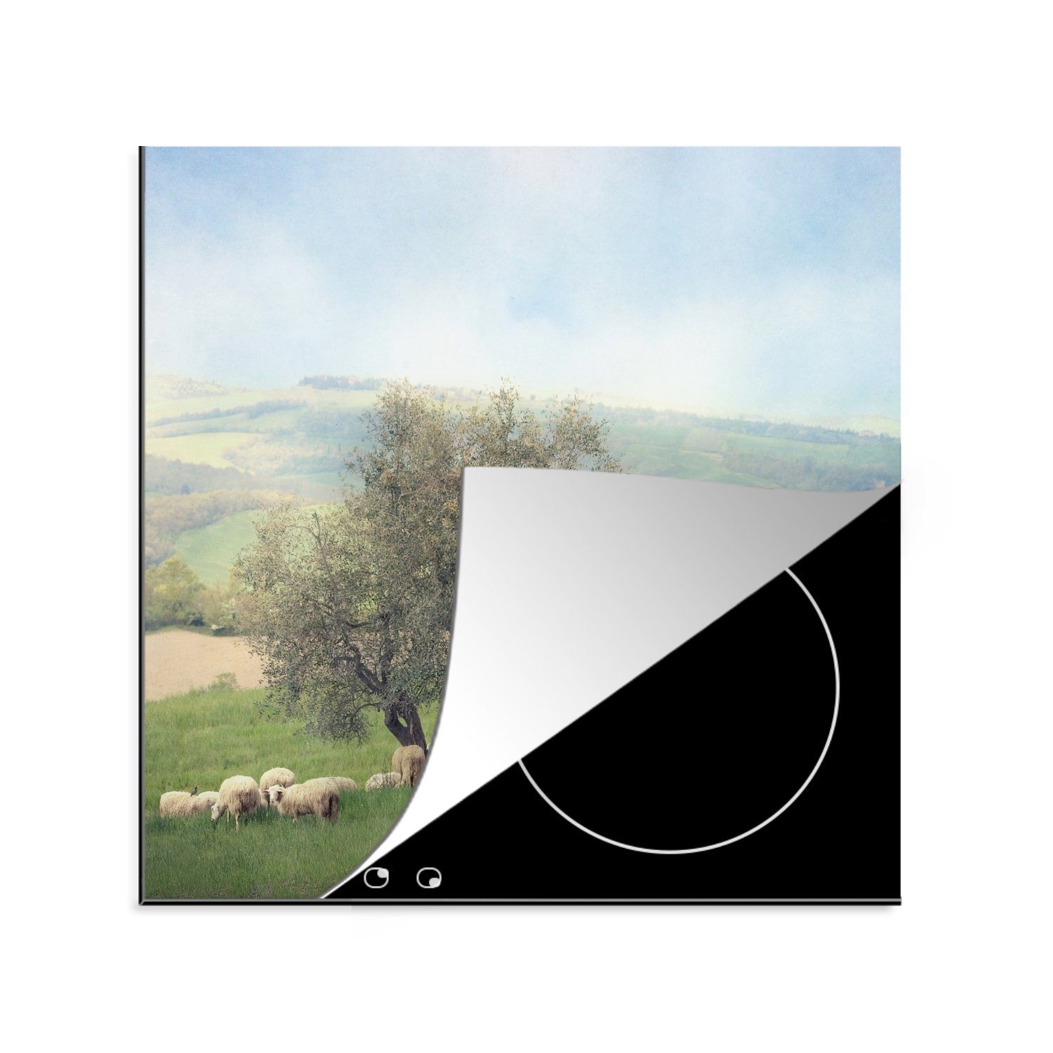 MuchoWow Herdblende-/Abdeckplatte Eine Gruppe von Schafen in der Nähe eines Olivenbaums, Vinyl, (1 tlg), 78x78 cm, Ceranfeldabdeckung, Arbeitsplatte für küche