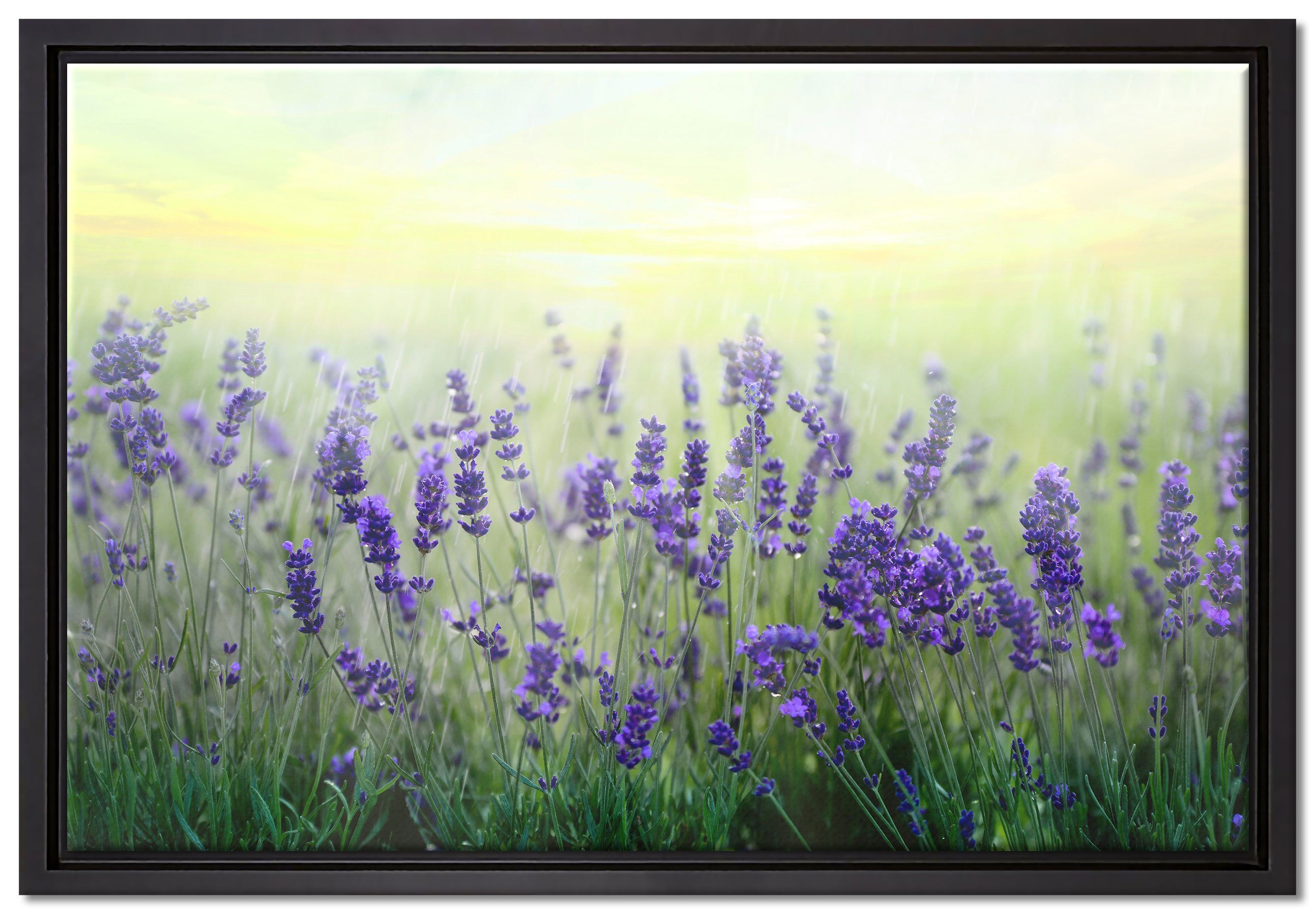 Pixxprint Leinwandbild Schöner Lavendel im Regen, Wanddekoration (1 St), Leinwandbild fertig bespannt, in einem Schattenfugen-Bilderrahmen gefasst, inkl. Zackenaufhänger