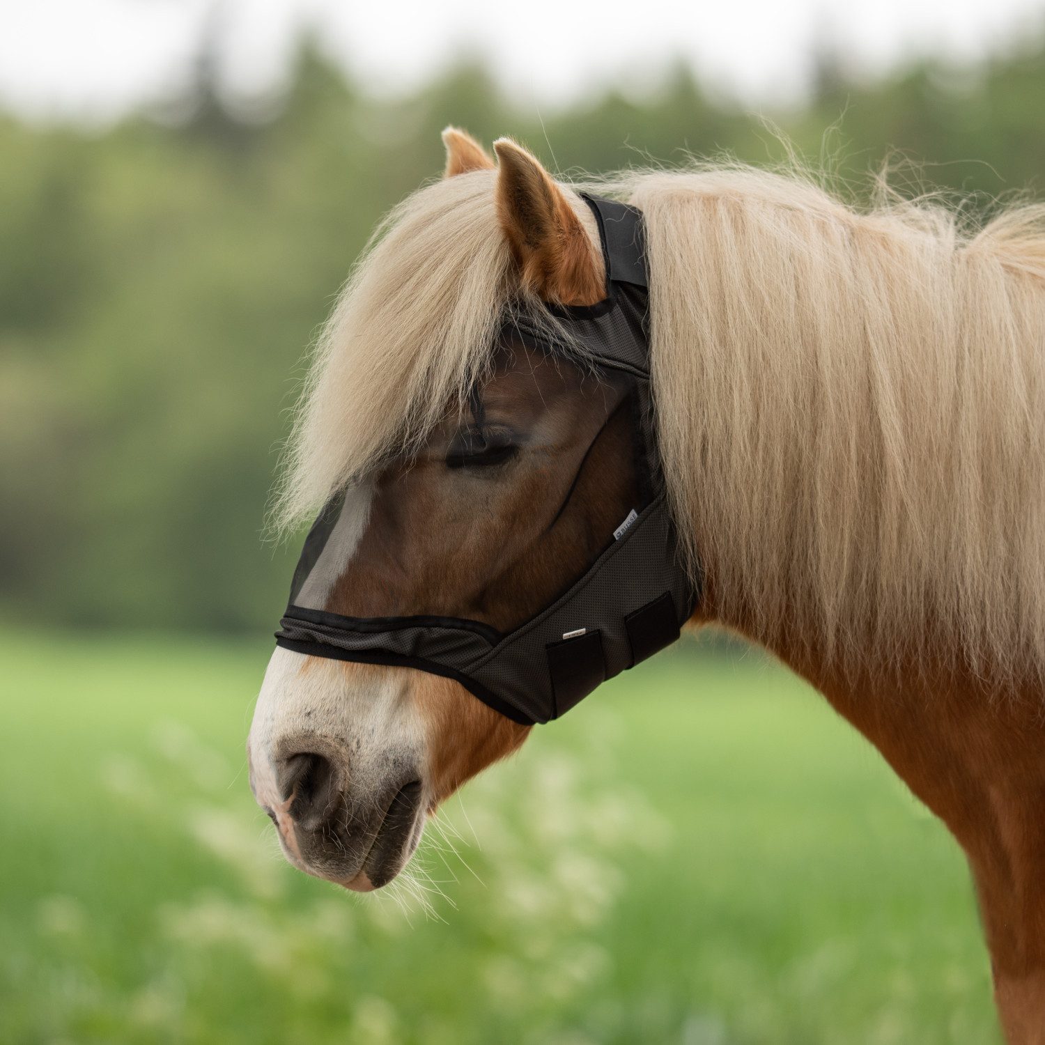 BUSSE Fliegenmasken Fliegenmaske Fly Guard Free