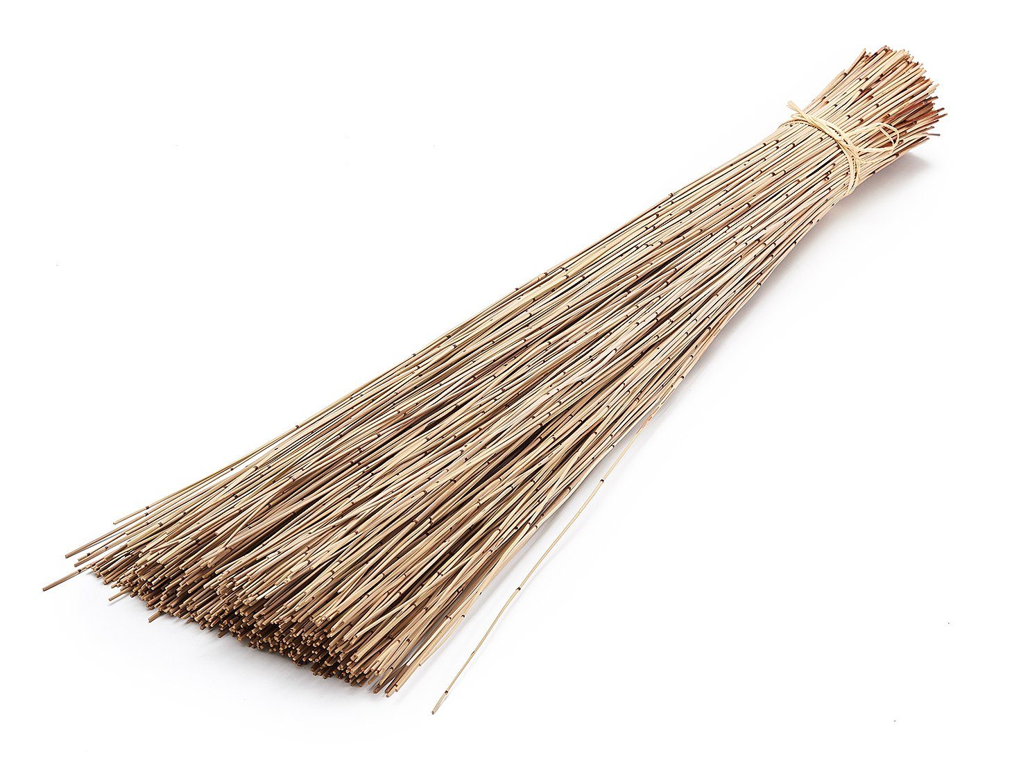 Trockenblume Vleireed Natur 75cm 1kg Restio günstig online kaufen