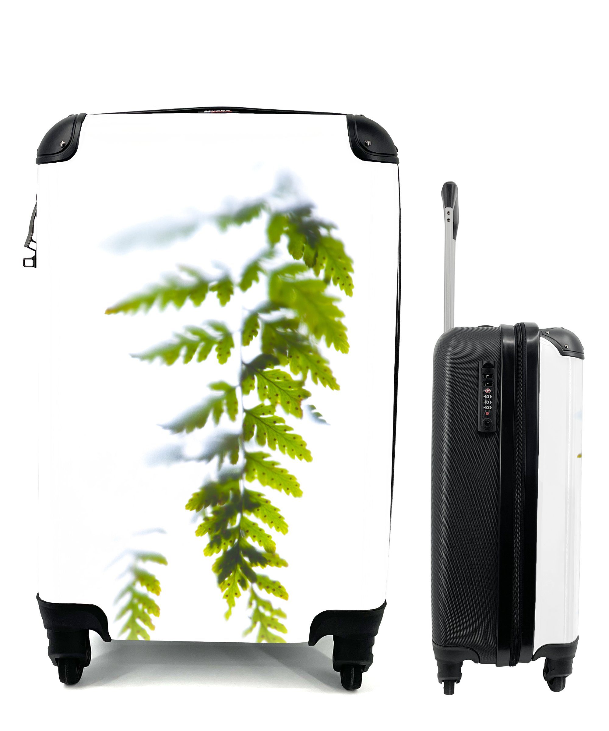 MuchoWow Handgepäckkoffer einem Reisetasche rollen, Handgepäck für Rollen, Farnblatt vor weißen mit 4 Reisekoffer Trolley, Ferien, Hintergrund