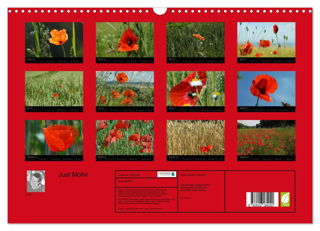 Thumbnail - CALVENDO Wandkalender Just Mohn (Wandkalender 2026 DIN A3 quer), CALVENDO Monatskalender