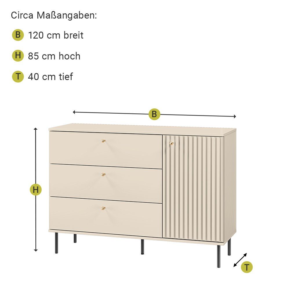 4-tlg), kaschmir in Rillenoptik goldfarbenen matt (4-St., mit Lomadox Griffen SALOU-131, Wohnwand mit