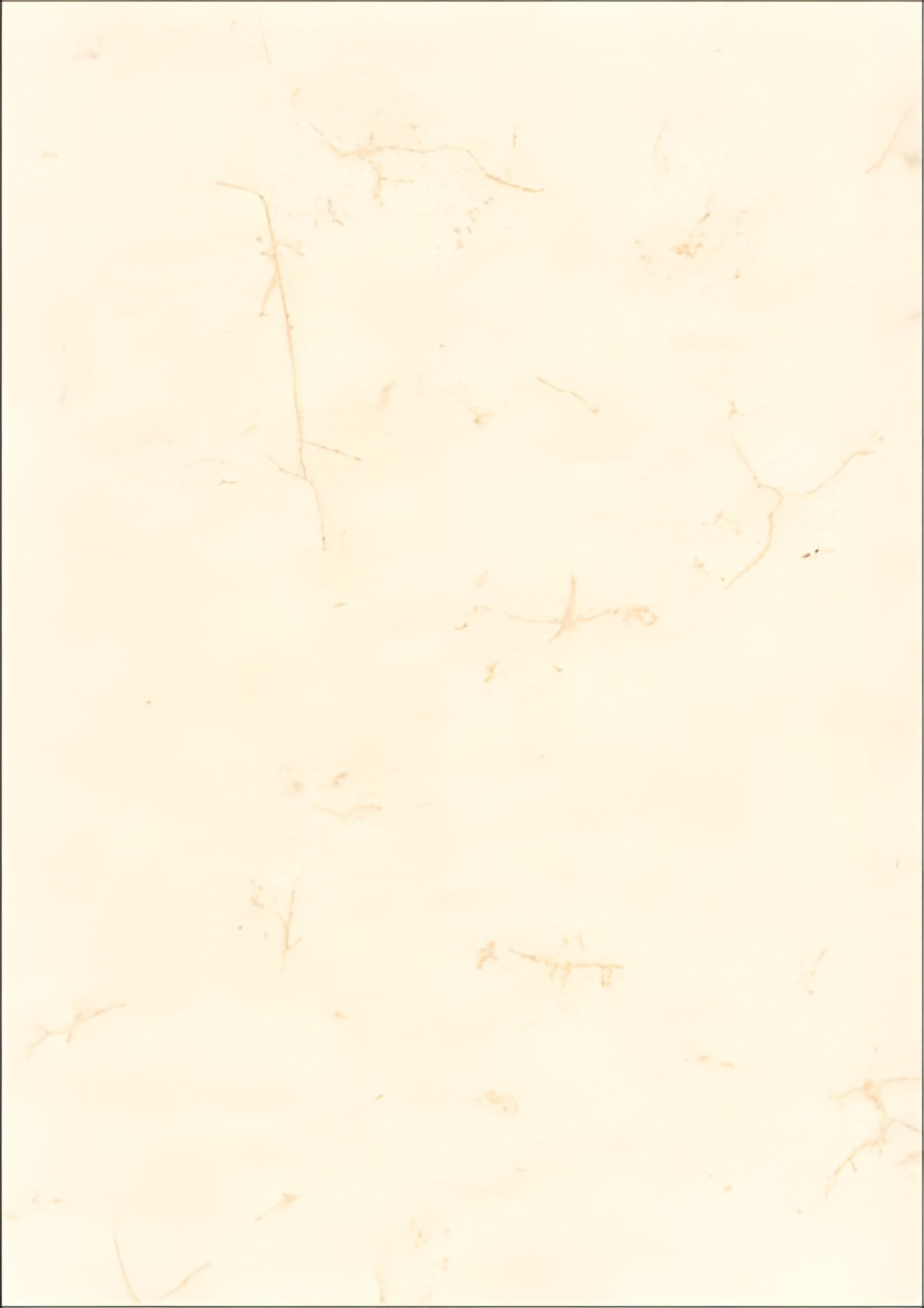 RNK Motivpapier RNK Elefantenhautpapier neutral A4 110g ws