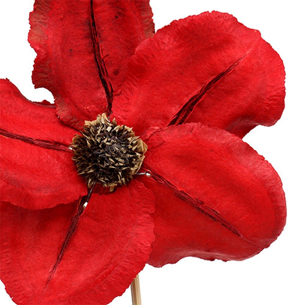 Trockenblume Dekostecker Holzblüte für Blumensträuße und Gestecke, 15 Stück, Florists Products, Höhe 12 cm