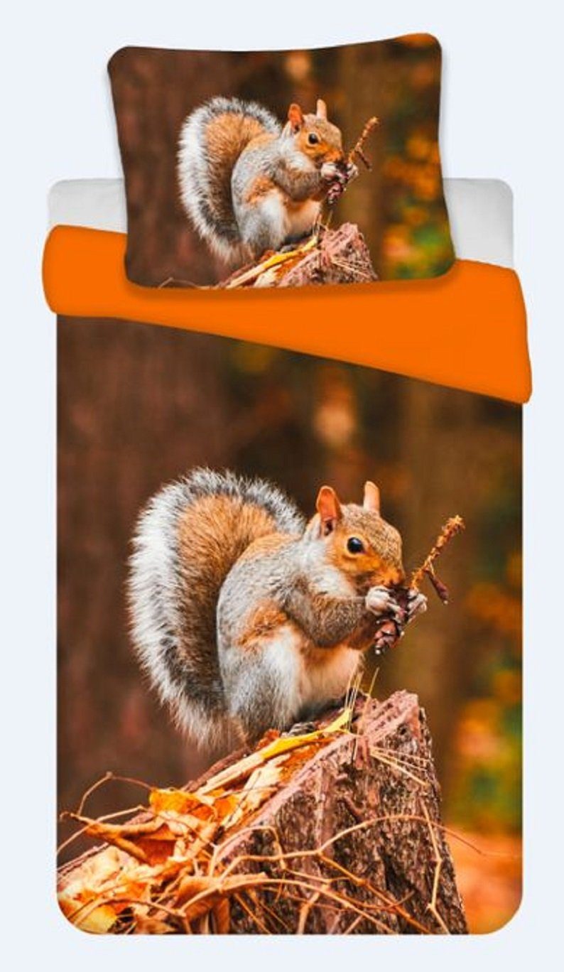 BrandMac Kinderbettwäsche Bettwäsche Set mit Eichhörnchen 135 x 200 cm 80 x günstig online kaufen