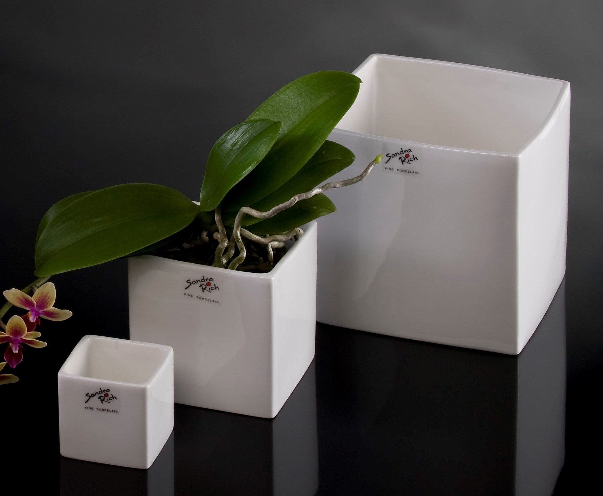 Sandra Rich Übertopf SANDRA RICH, Porzellan-Übertopf CUBE "Porcelain cube 6cm"