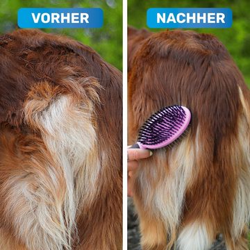 BluePet Fellbürste "DoppelDecker" doppelseitige Bürste für Hunde & Katzen, Allroundtalent für die tägliche Fellpflege