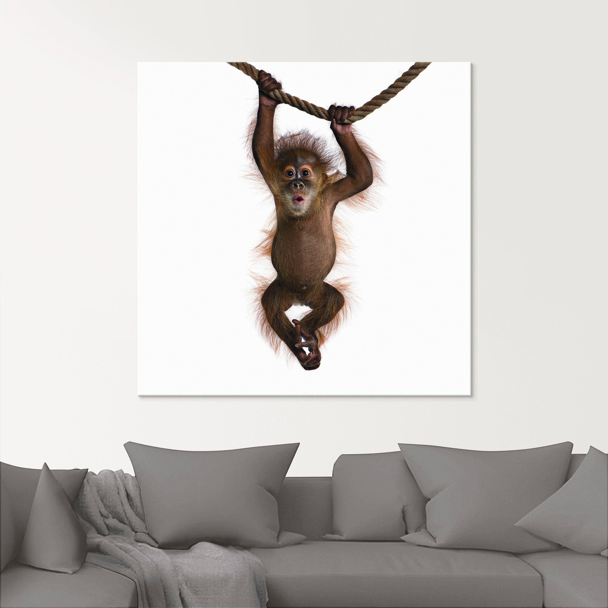 Sumatra in verschiedenen an Glasbild St), (1 Größen Artland Seil, Baby Orang Wildtiere Utan hängt