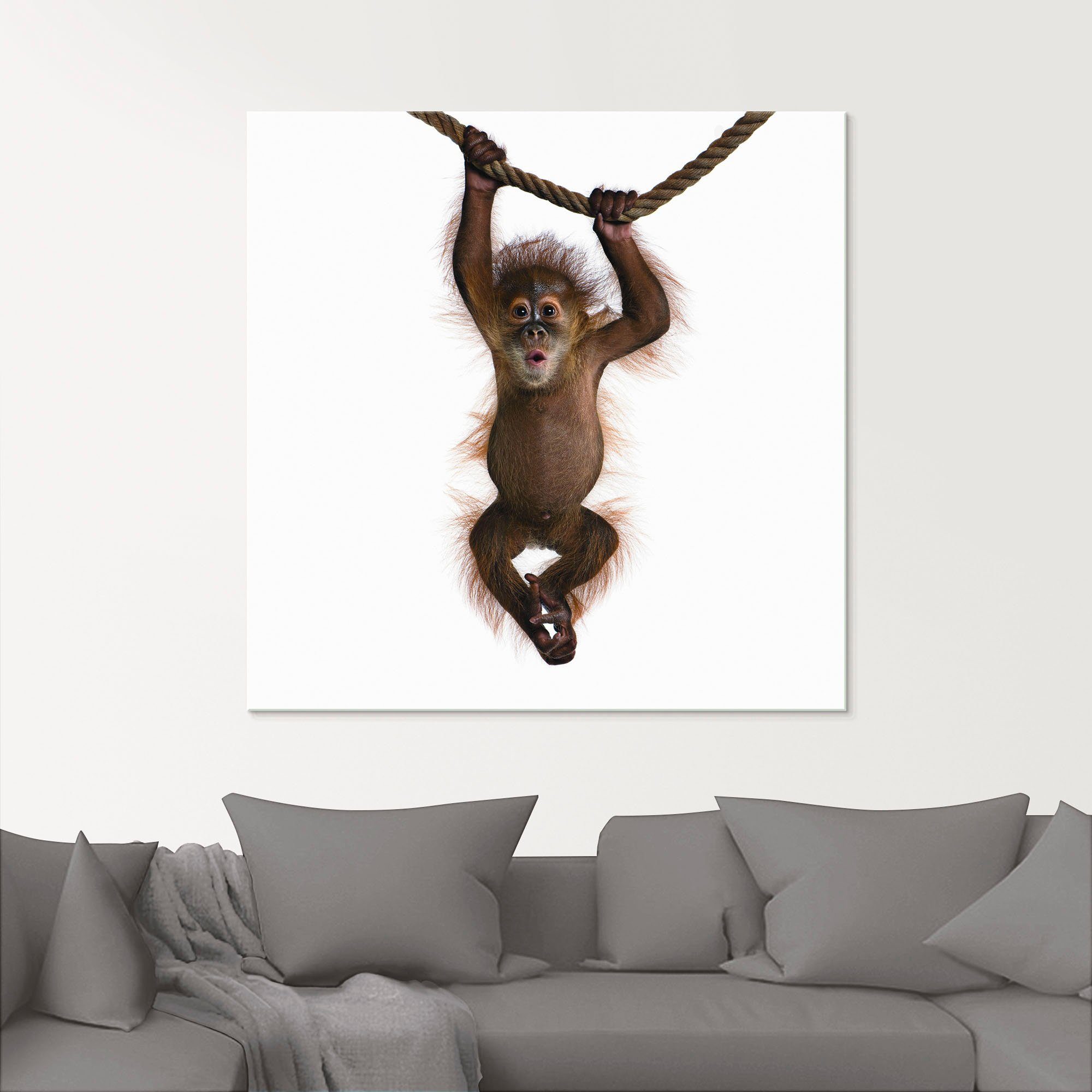 Artland Glasbild Baby Orang Utan hängt an Seil II, Wildtiere (1 St), in verschiedenen Größen