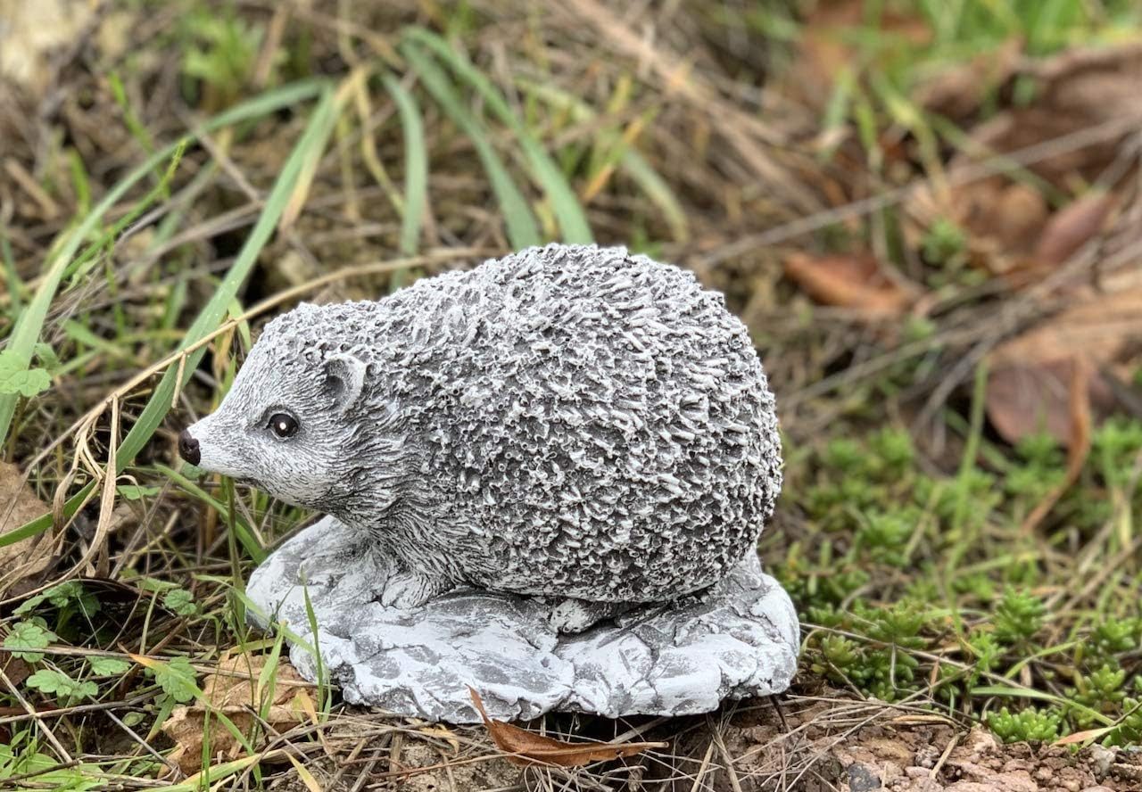 Stone and Style Gartenfigur Frostfeste Steinfigur kleiner Igel Little Ferdi – Bild 3 von 5