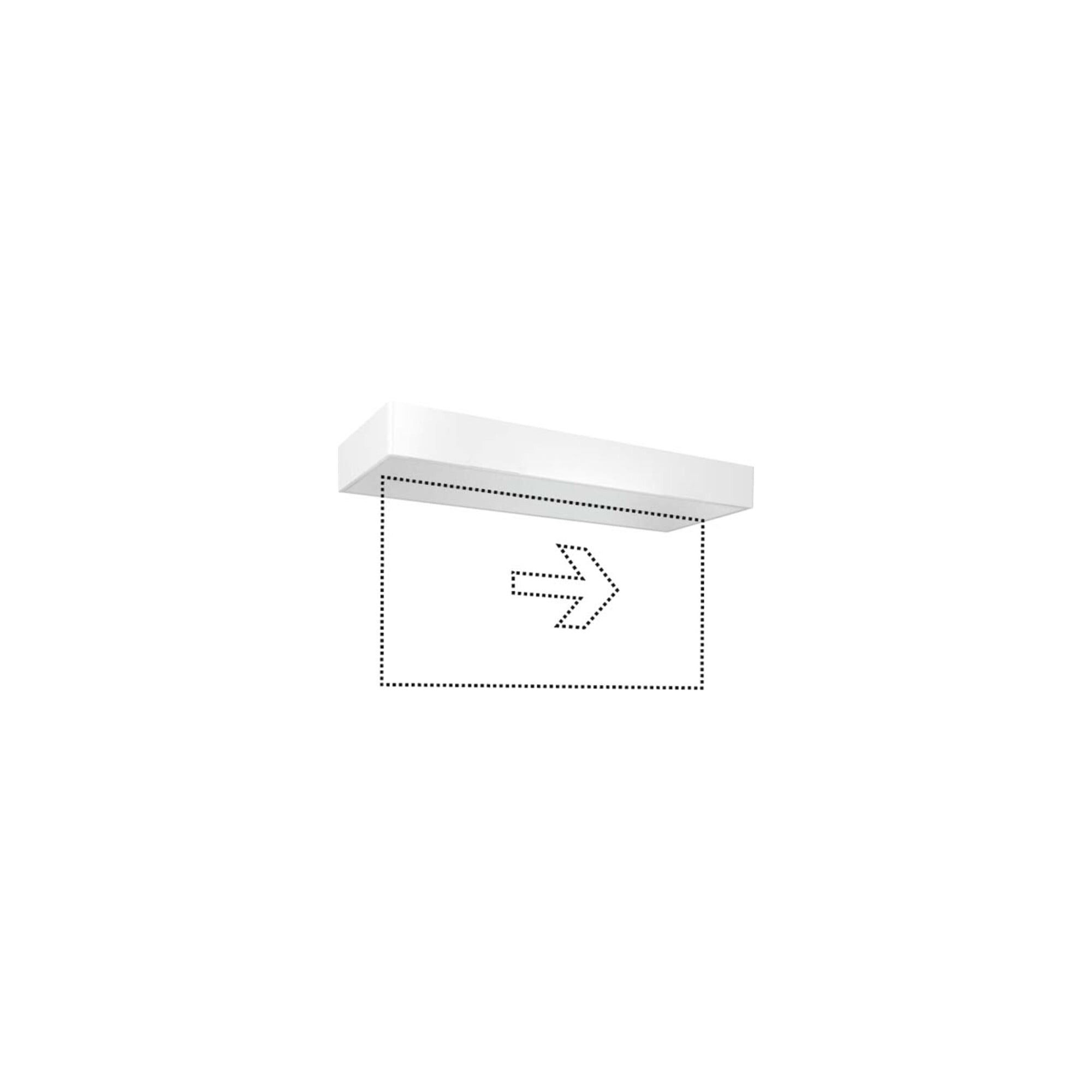 ESYLUX Laterne ESYLUX LED-Notleuchte ws 3h, f.AP-/Deckenmon. SLXELLED#EN10077371