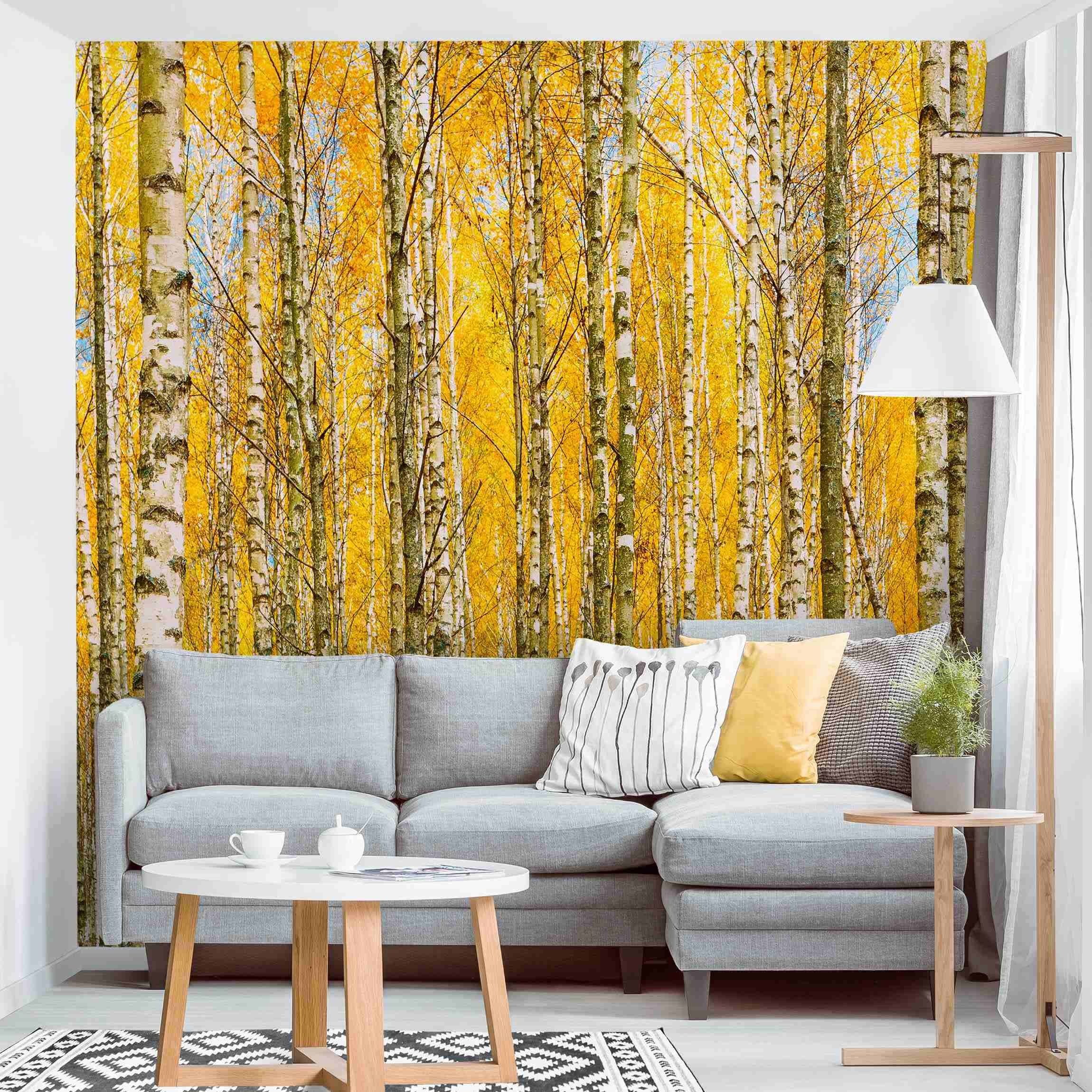 Bilderdepot24 Fototapete Wald Gelbe Birken Natur Landschaft Waldtapete Bäume, Glatt, Matt, (Vliestapete inkl. Kleister oder selbstklebend), Wohnzimmer Schlafzimmer Küche Flur Motivtapete Vliestapete Wandtapete