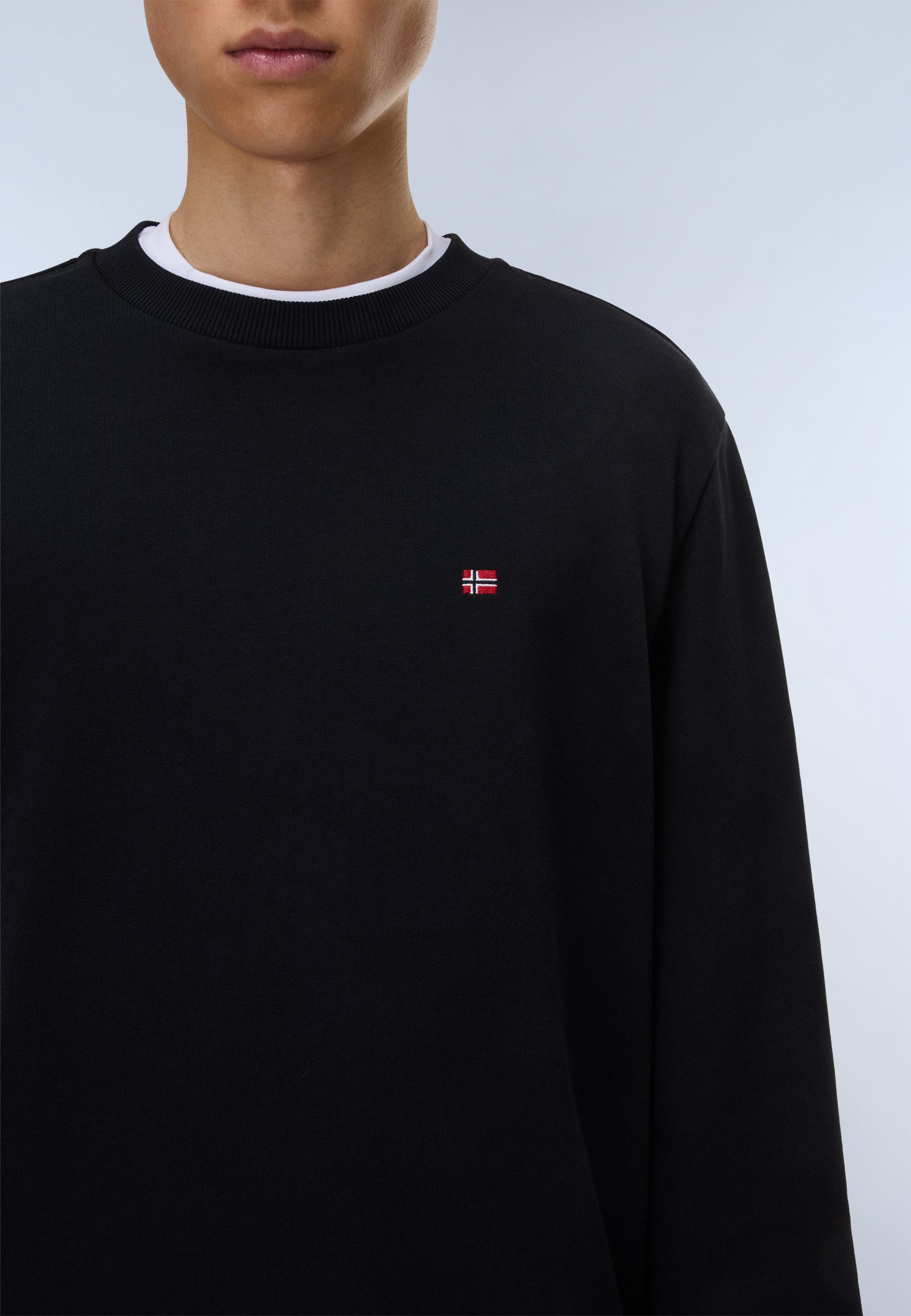 Napapijri Kapuzensweatshirt mit Langarm-Design, aus Baumwolle – Bild 4 von 5
