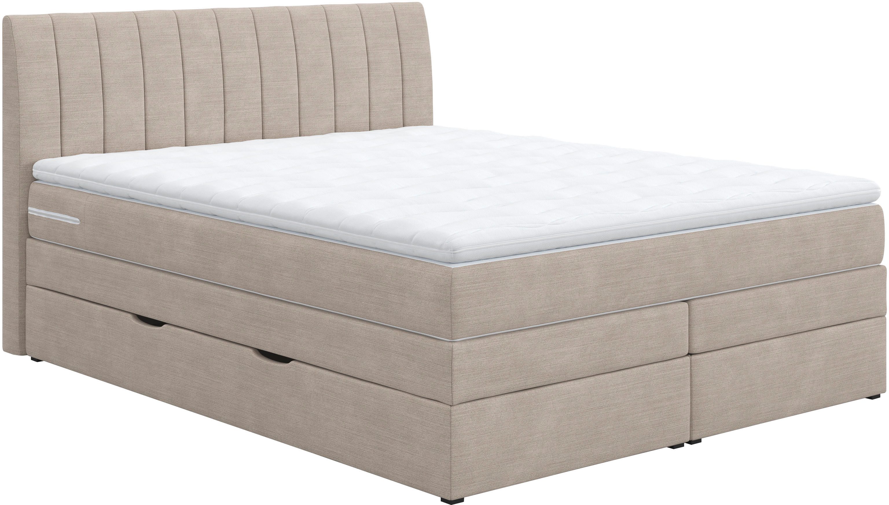 COTTA Boxspringbett Shark inkl. Bettkasten und Topper, erhältlich in den Br günstig online kaufen