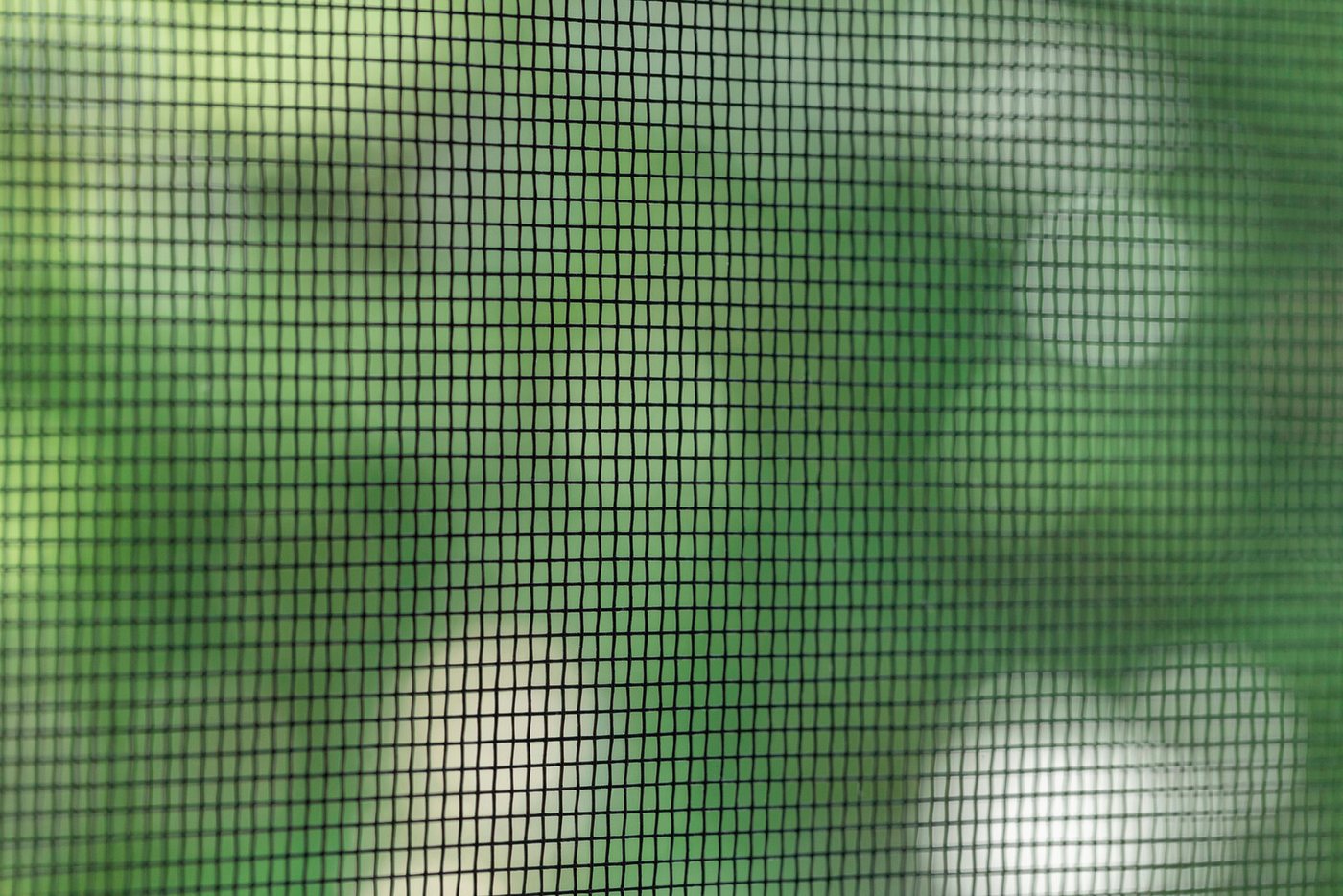 Thumbnail - SCHELLENBERG Fliegengitter-Gewebe aus Fiberglas, (Packung, 1-St), Insektenschutz Rolle für Fenster und Tür, verschiedene...