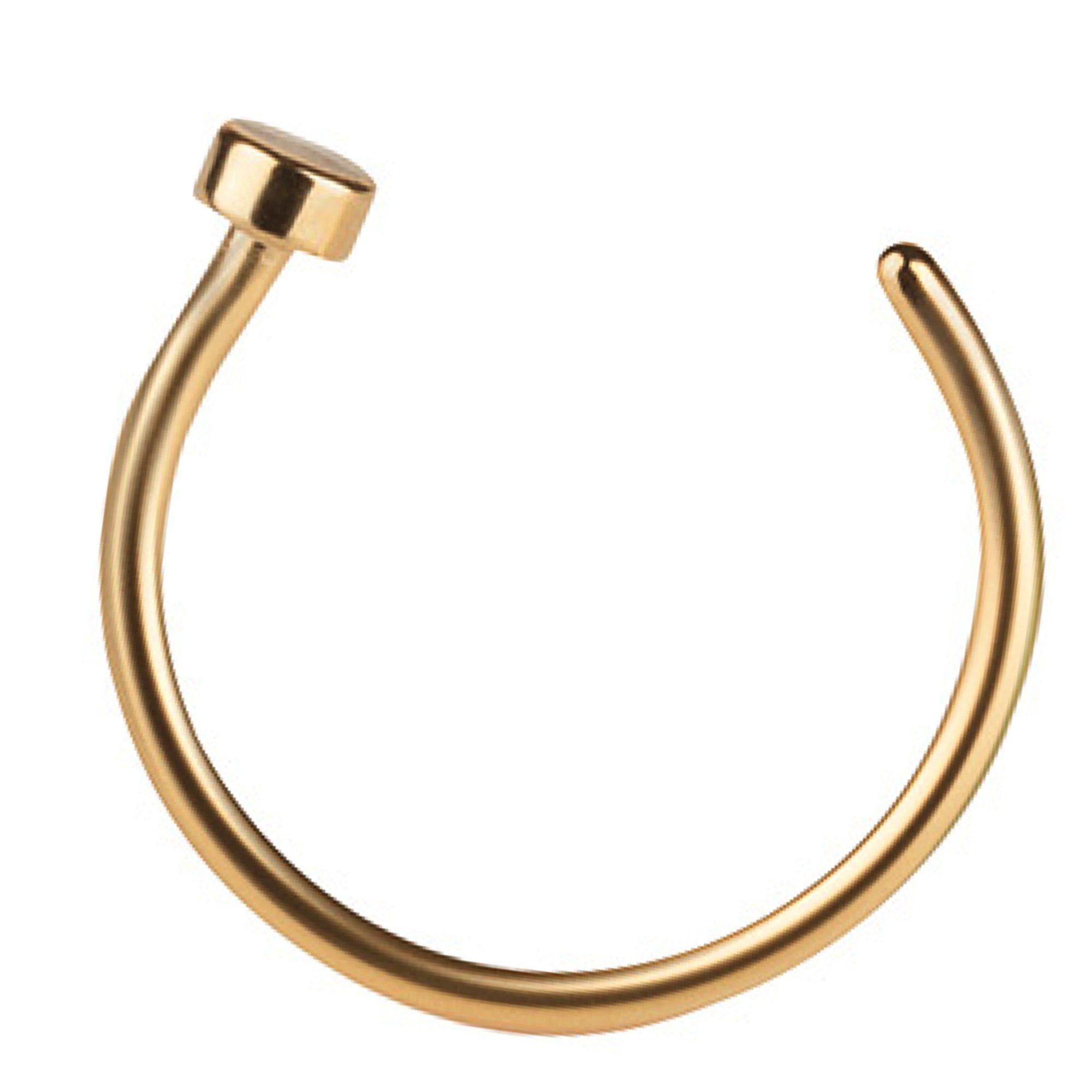 Taffstyle Nasenpiercing Fake Ring Piercing Hoop Septum Lippe Brust Intim, N günstig online kaufen