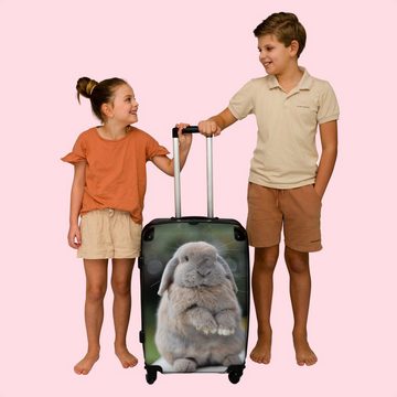 NoBoringSuitcases.com© Koffer Kaninchen - Tiere - Kinder - Natur 67x43x25cm, 4 Rollen, Mittelgroßer Koffer für Kinder, Trolley