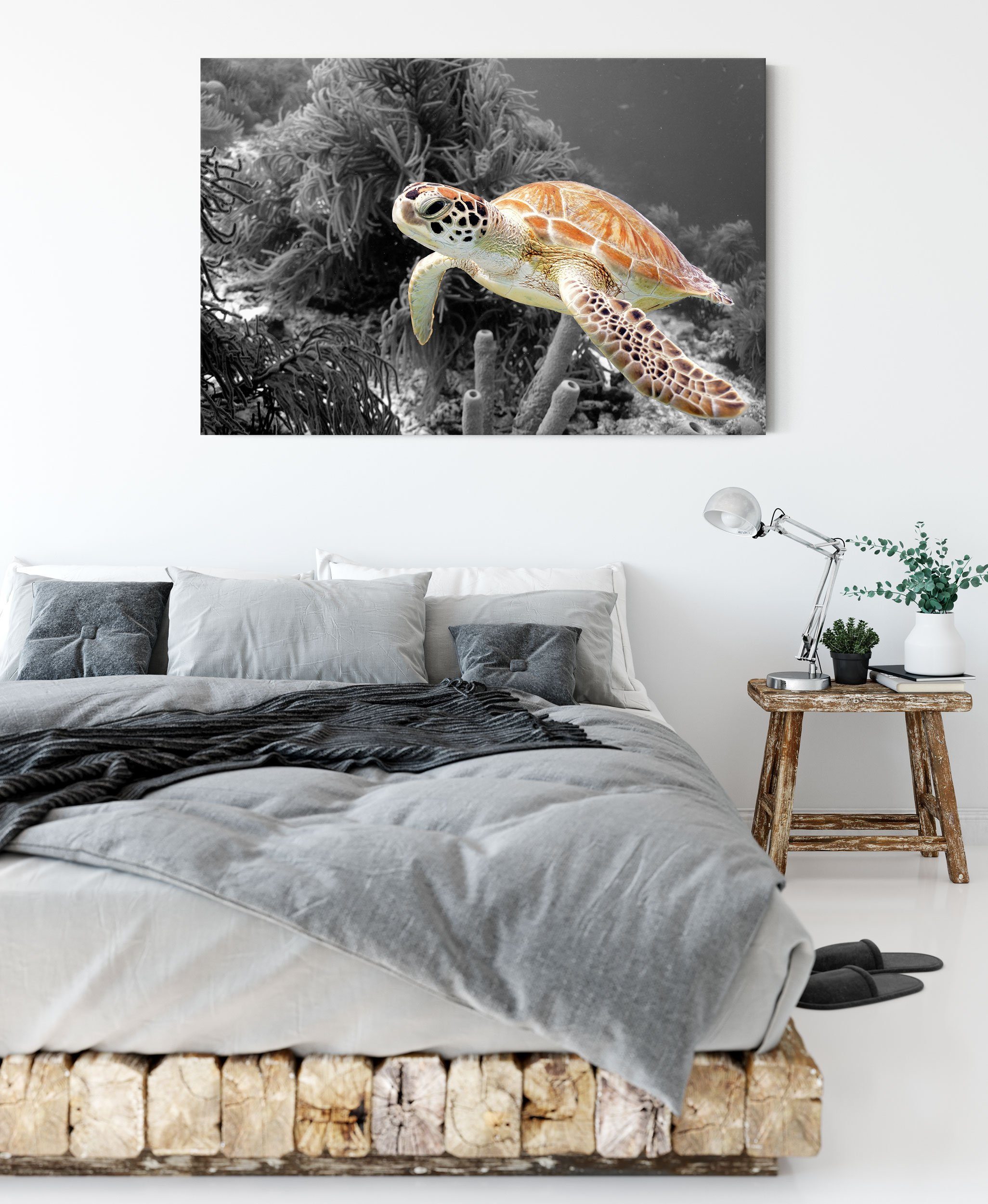 St), Leinwandbild (1 Leinwandbild Meeresschildkröte Zackenaufhänger wunderschöne inkl. wunderschöne bespannt, Meeresschildkröte, fertig Pixxprint