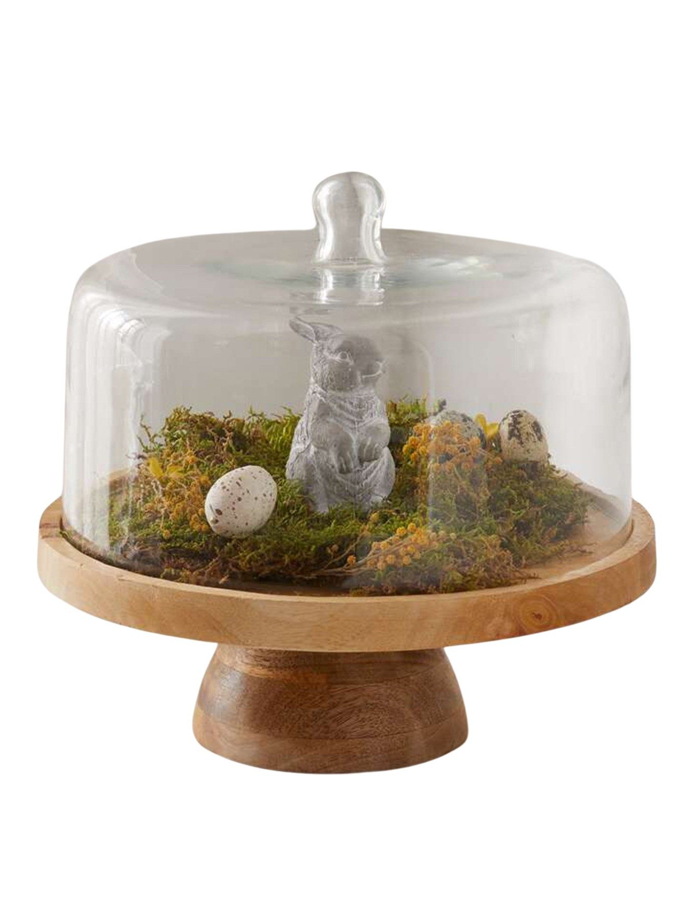 Käseglocke "Rund" Servierplatte aus Mangoholz mit Haube aus Glas, Holzteller