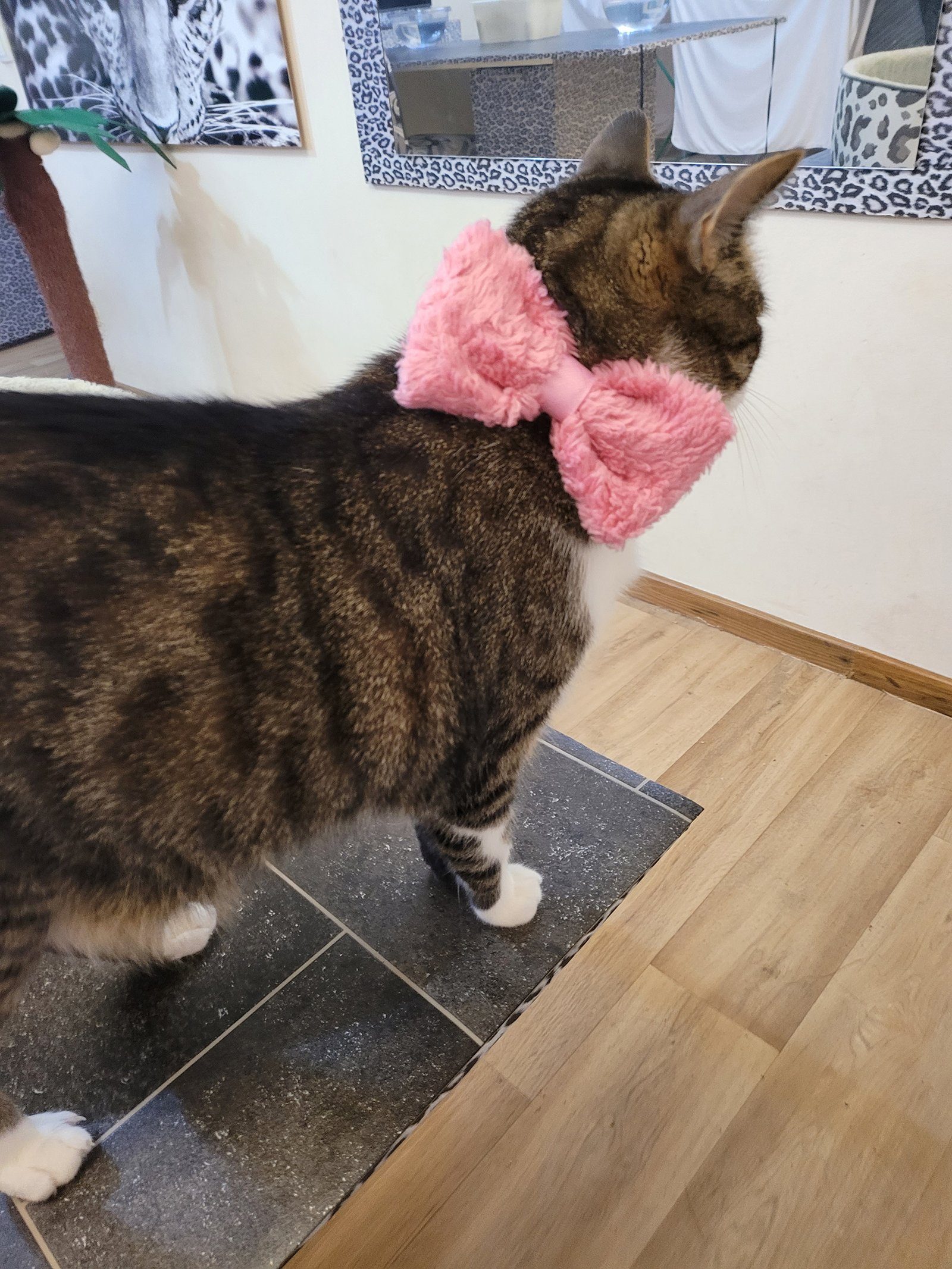 maDDma Stoff 50x150cm Teddystoff Baumwollstoff Kinderzertifiziert Meterware, gelb