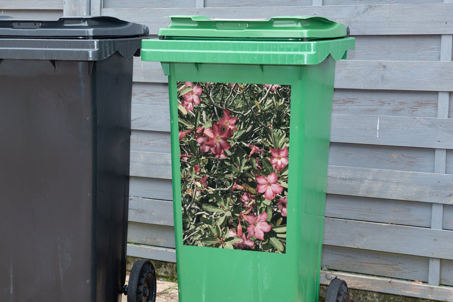 (1 Sticker, MuchoWow Rosa natürlicher Hintergrund Wandsticker als Blumen Mülltonne, Mülleimer-aufkleber, St), Abfalbehälter Container,